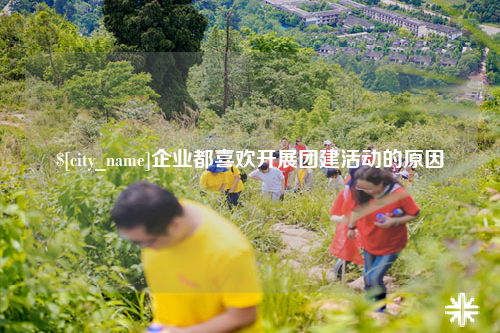 文山企业都喜欢开展团建活动的原因